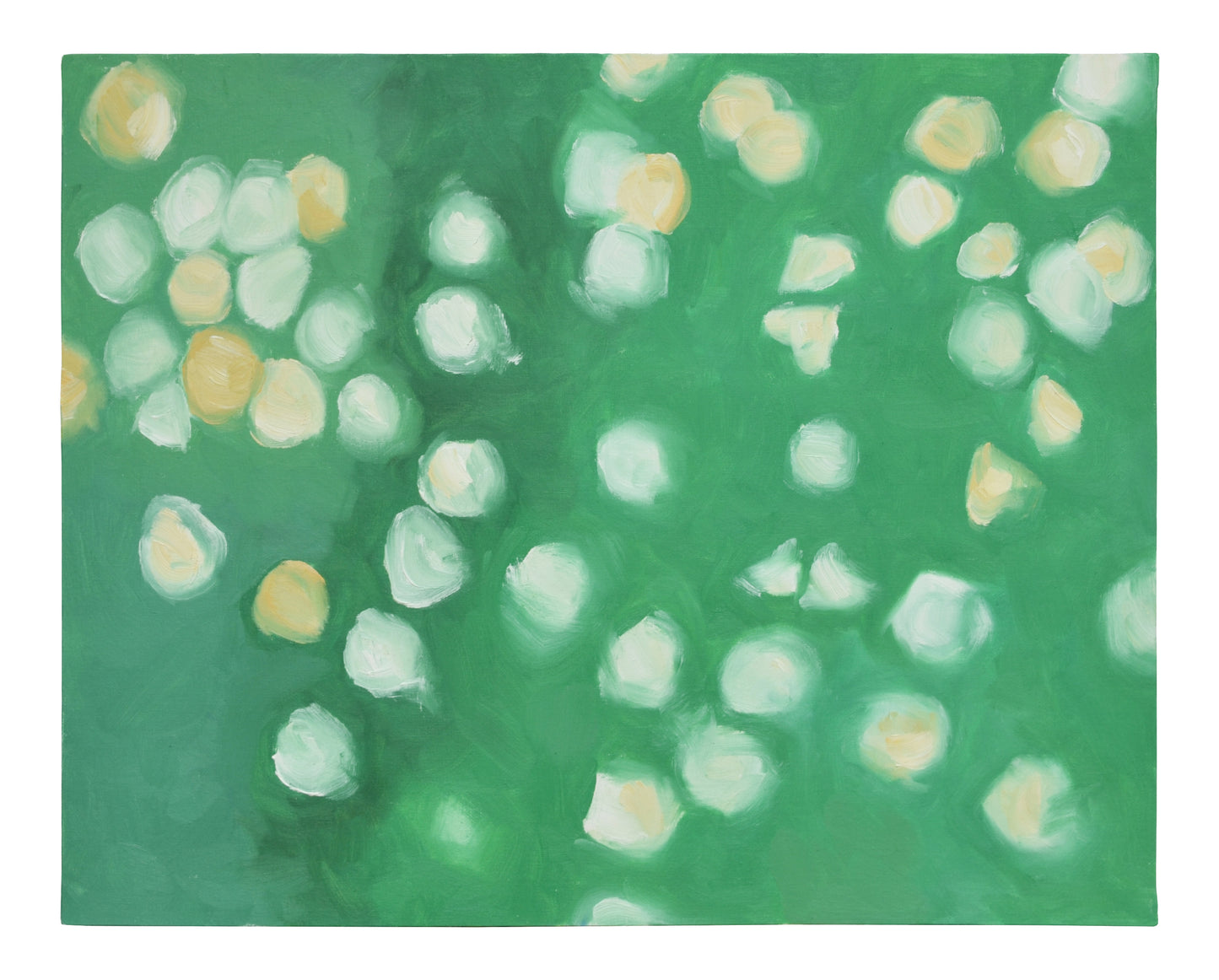 Dandelions